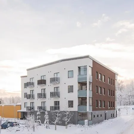 Apartment Moderni Asunto Hyvien Yhteyksien Paeaessae Kirkkonummi