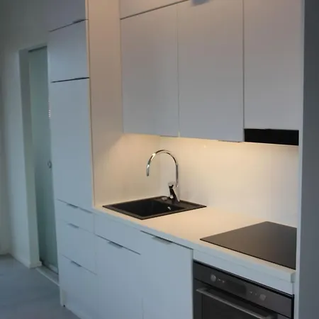 Moderni Asunto Hyvien Yhteyksien Paeaessae * Kirkkonummi